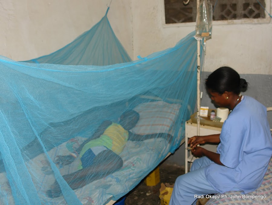  Journée mondiale de lutte contre le paludisme: 1 000 décès sur plus d’1 million de cas dans le Kwilu 